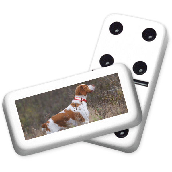 Dominoes with your favorite image
